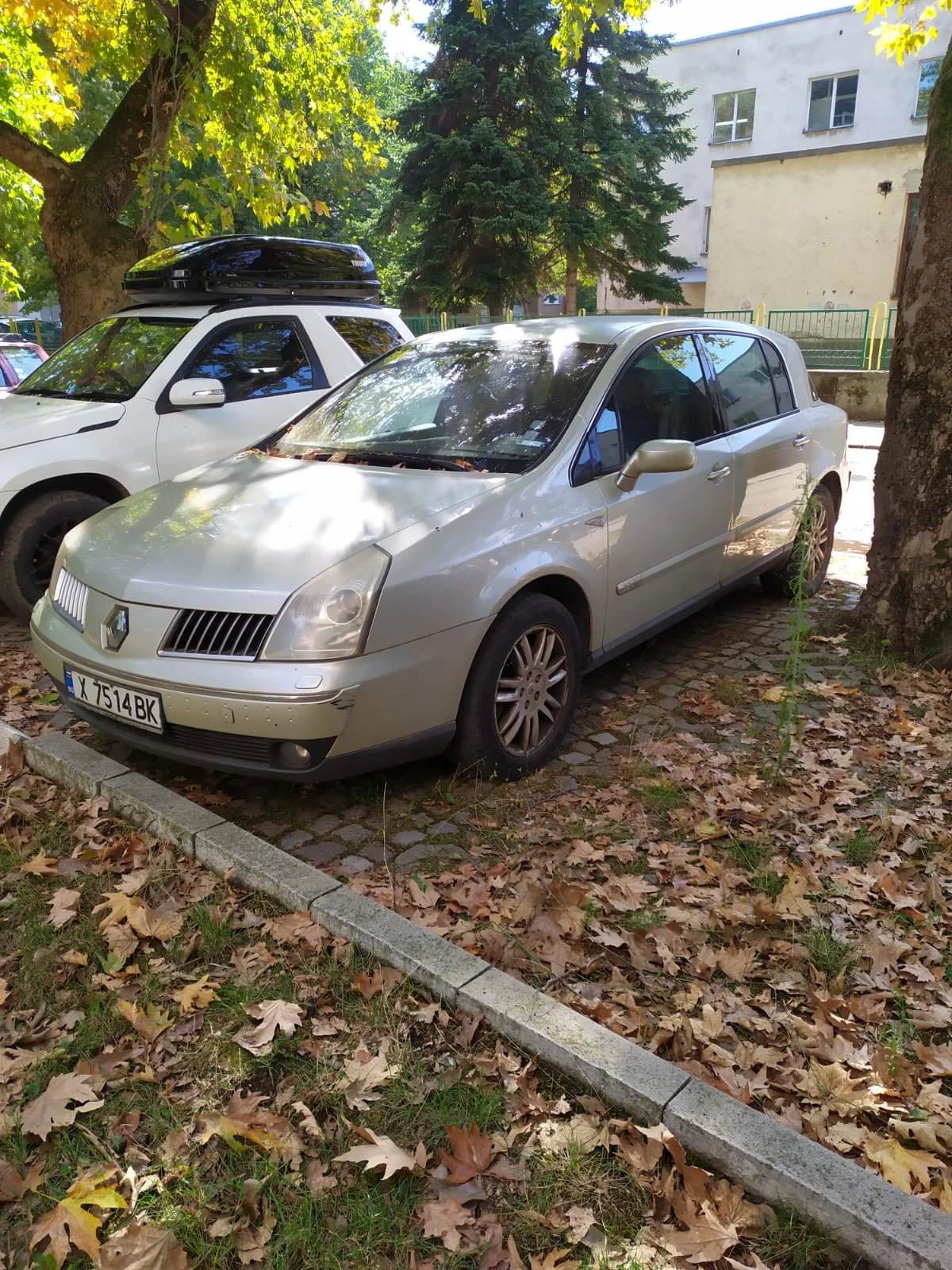 Renault Vel satis, снимка 1