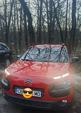 Citroen C4 Cactus Pure Tech, снимка 12