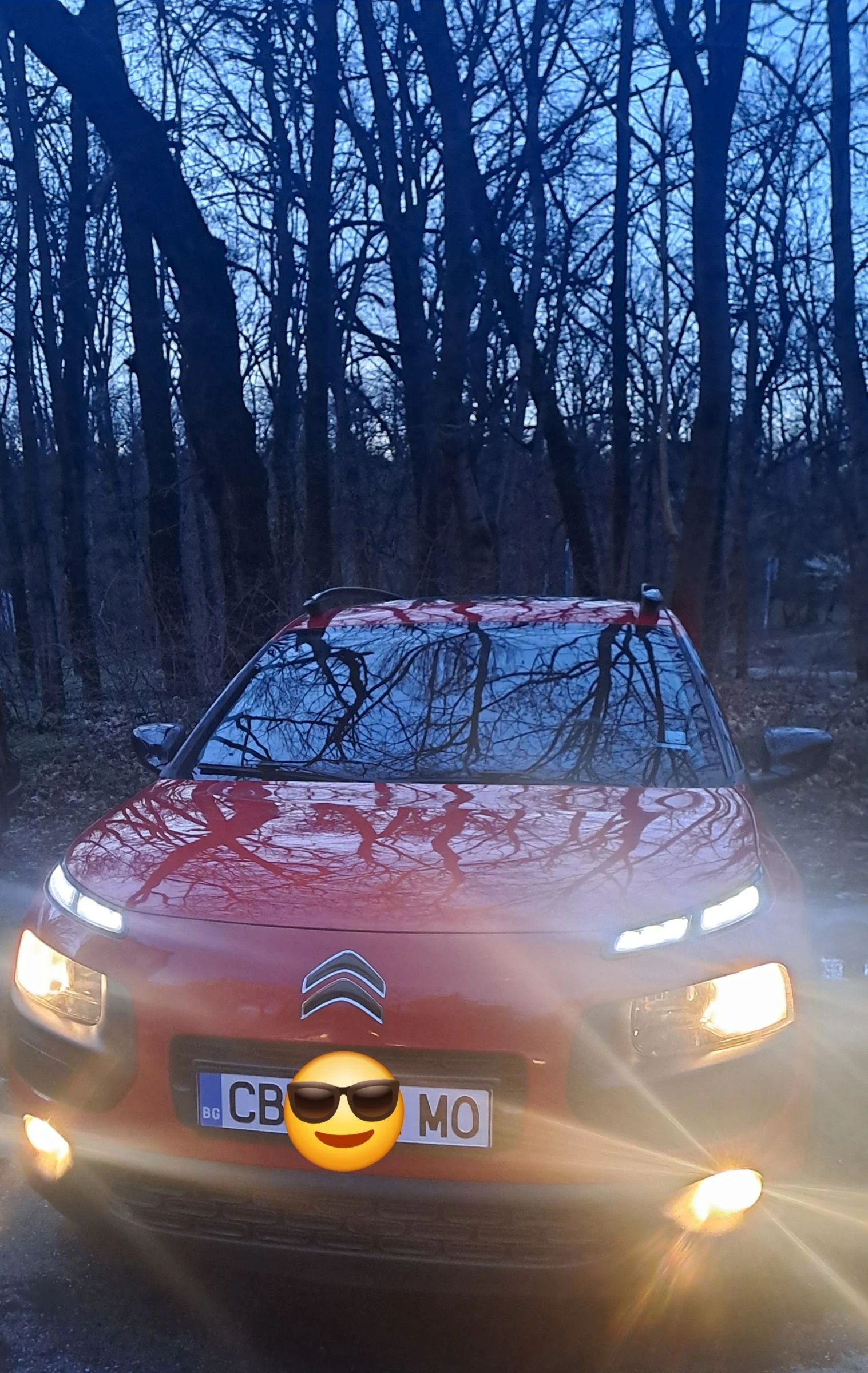 Citroen C4 Cactus Pure Tech, снимка 13 - Автомобили и джипове - 54006014