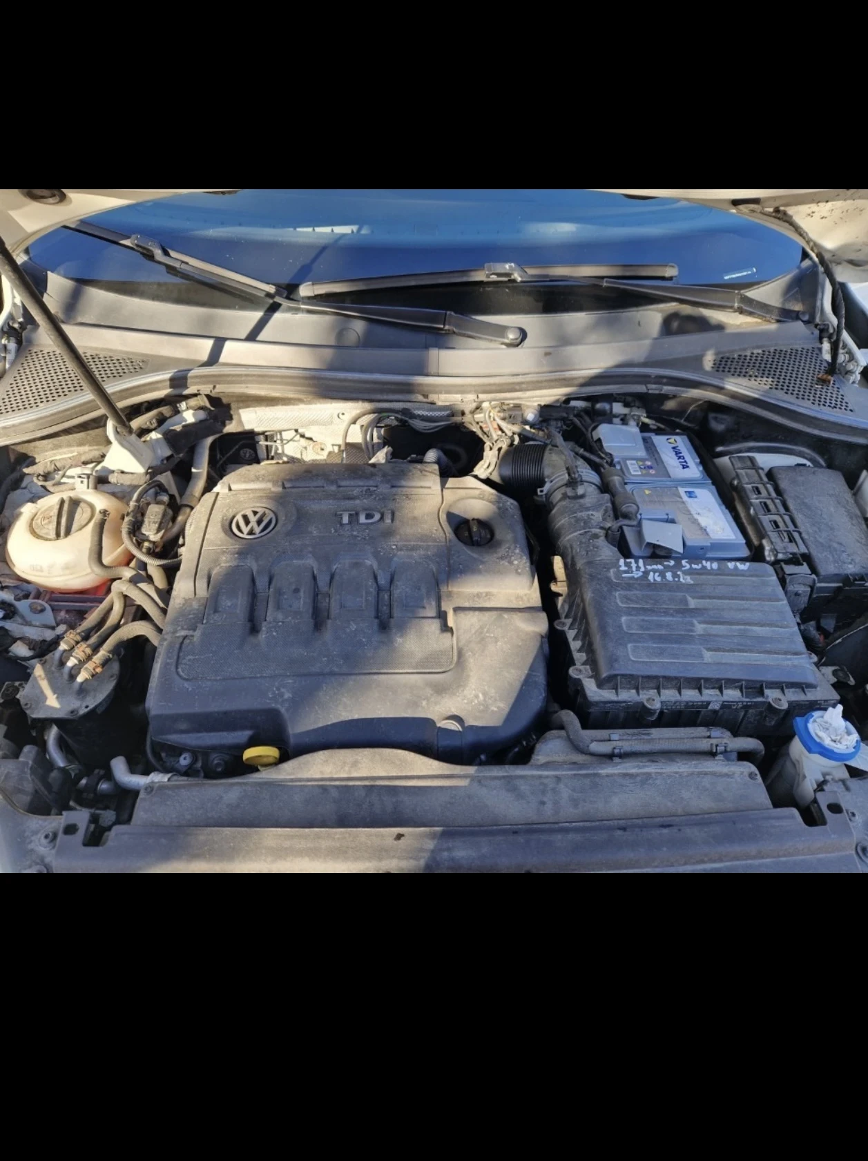 VW Tiguan  - изображение 5