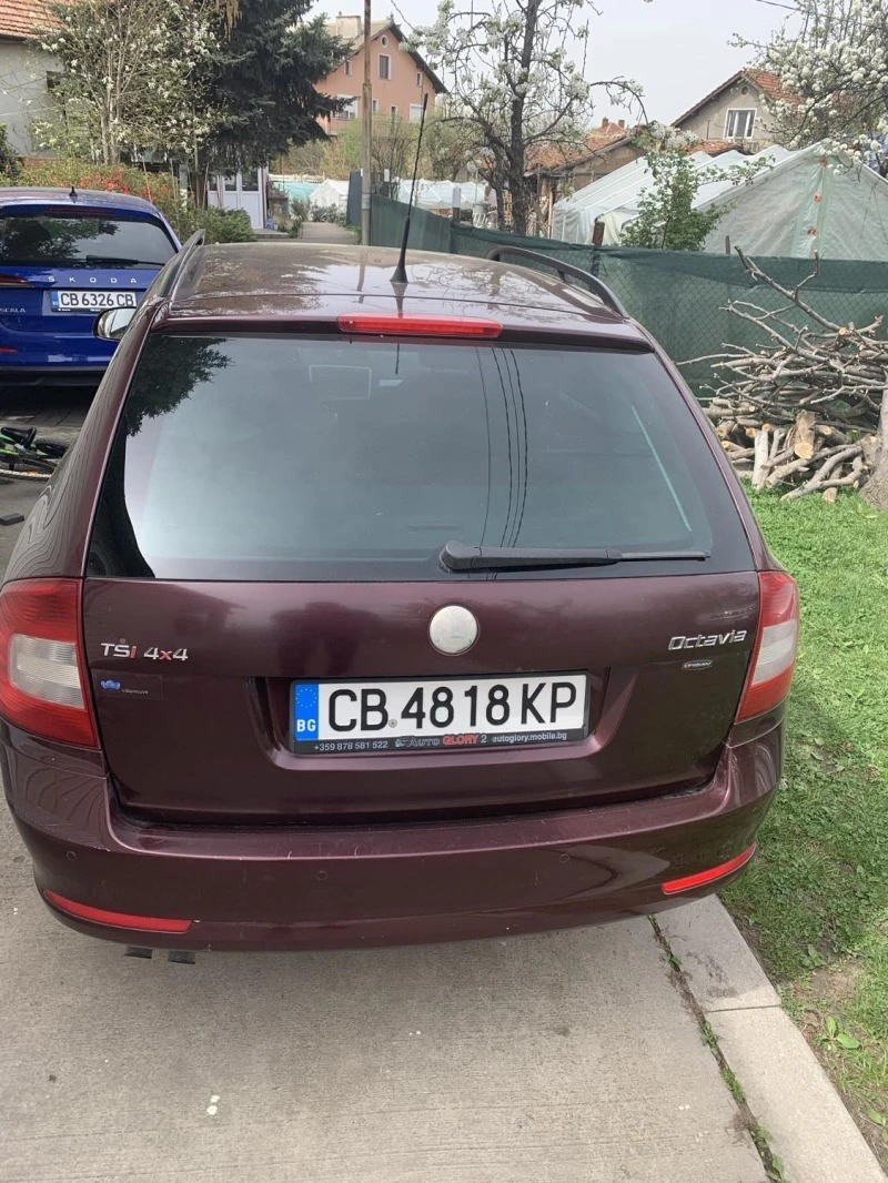 Skoda Octavia, снимка 6 - Автомобили и джипове - 47269046