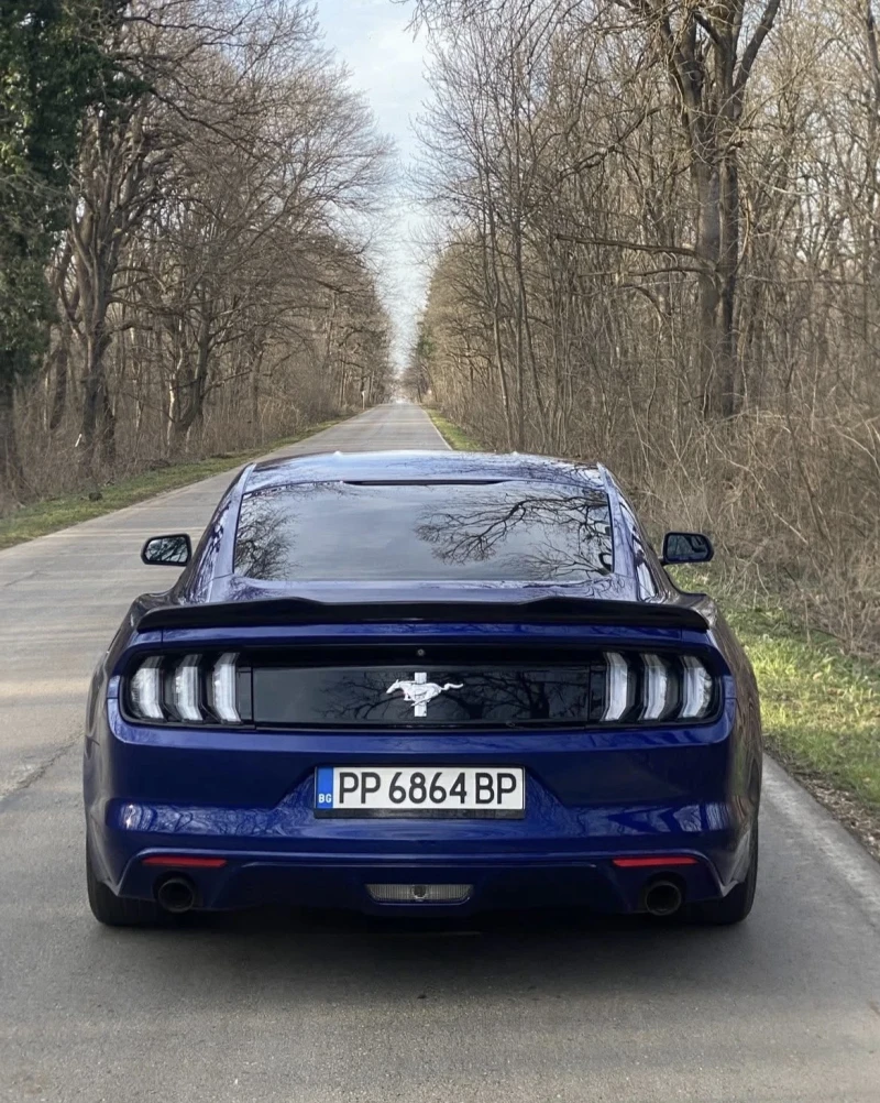 Ford Mustang, снимка 11 - Автомобили и джипове - 53521352