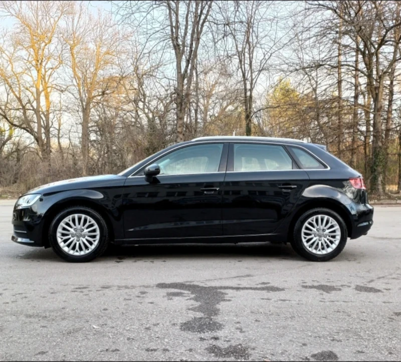 Audi A3 1.6TDI, кожа, 6ск, Ambition, снимка 4 - Автомобили и джипове - 48947972