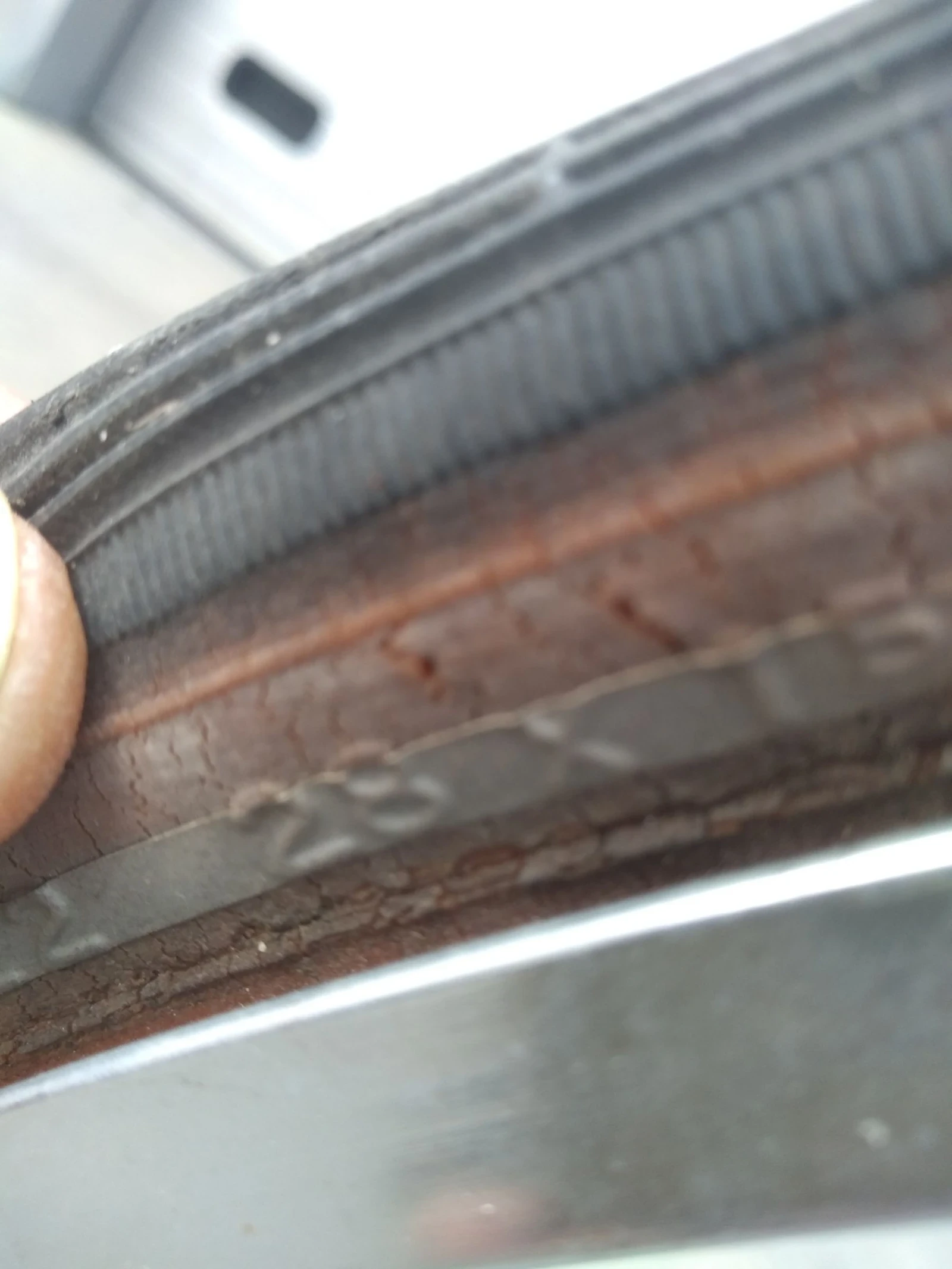 ������� | Mobile.bg � ����������� 9