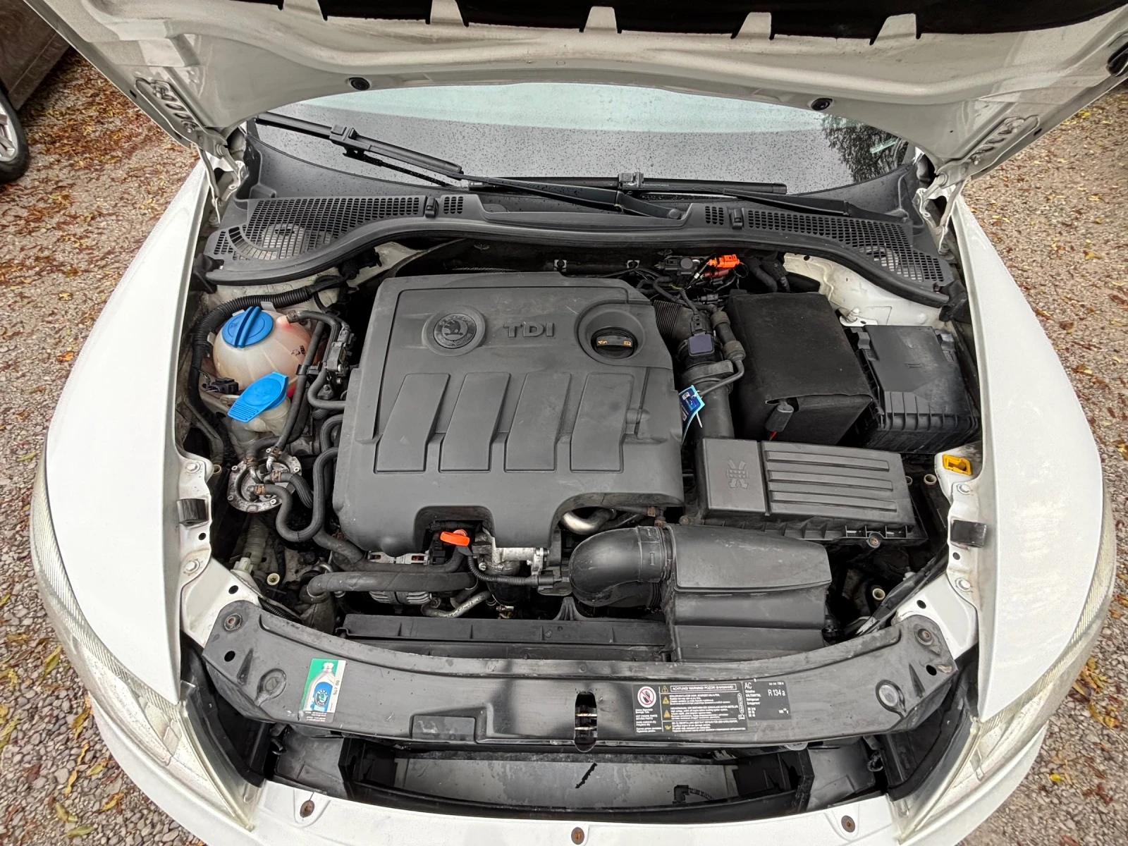 Skoda Octavia 1.6 TDI | Mobile.bg   13