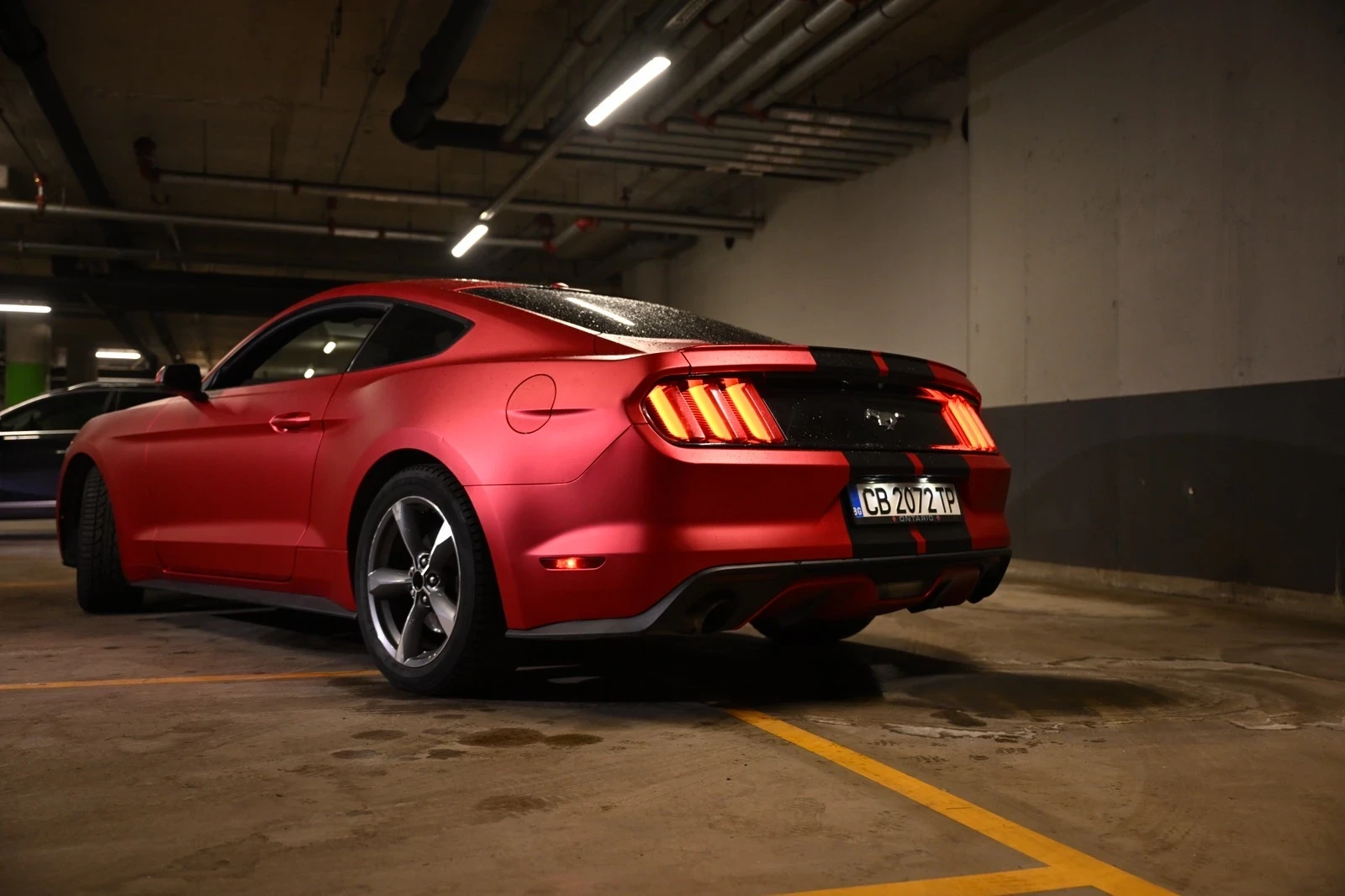 Ford Mustang  - изображение 2