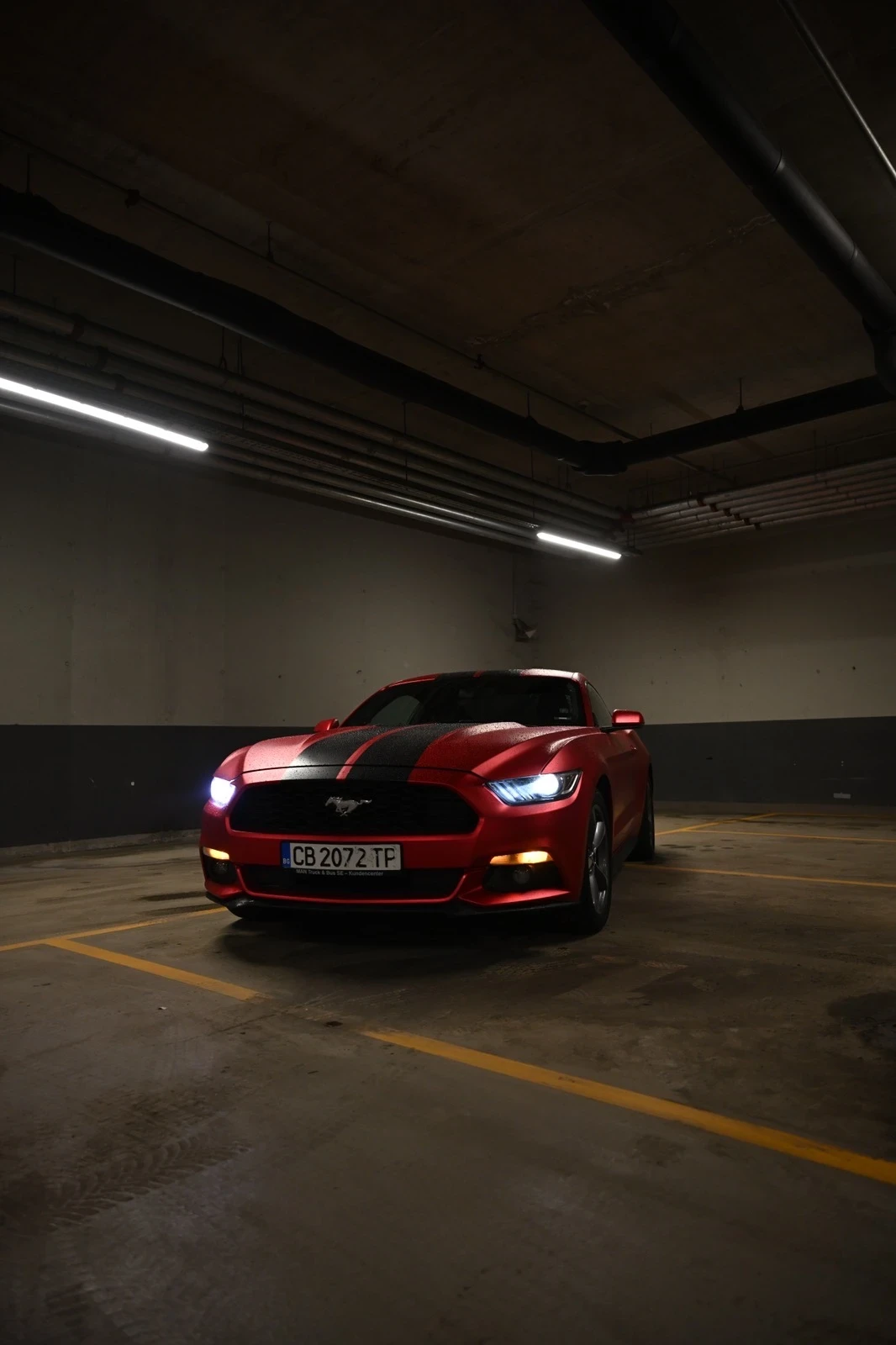 Ford Mustang  - изображение 3