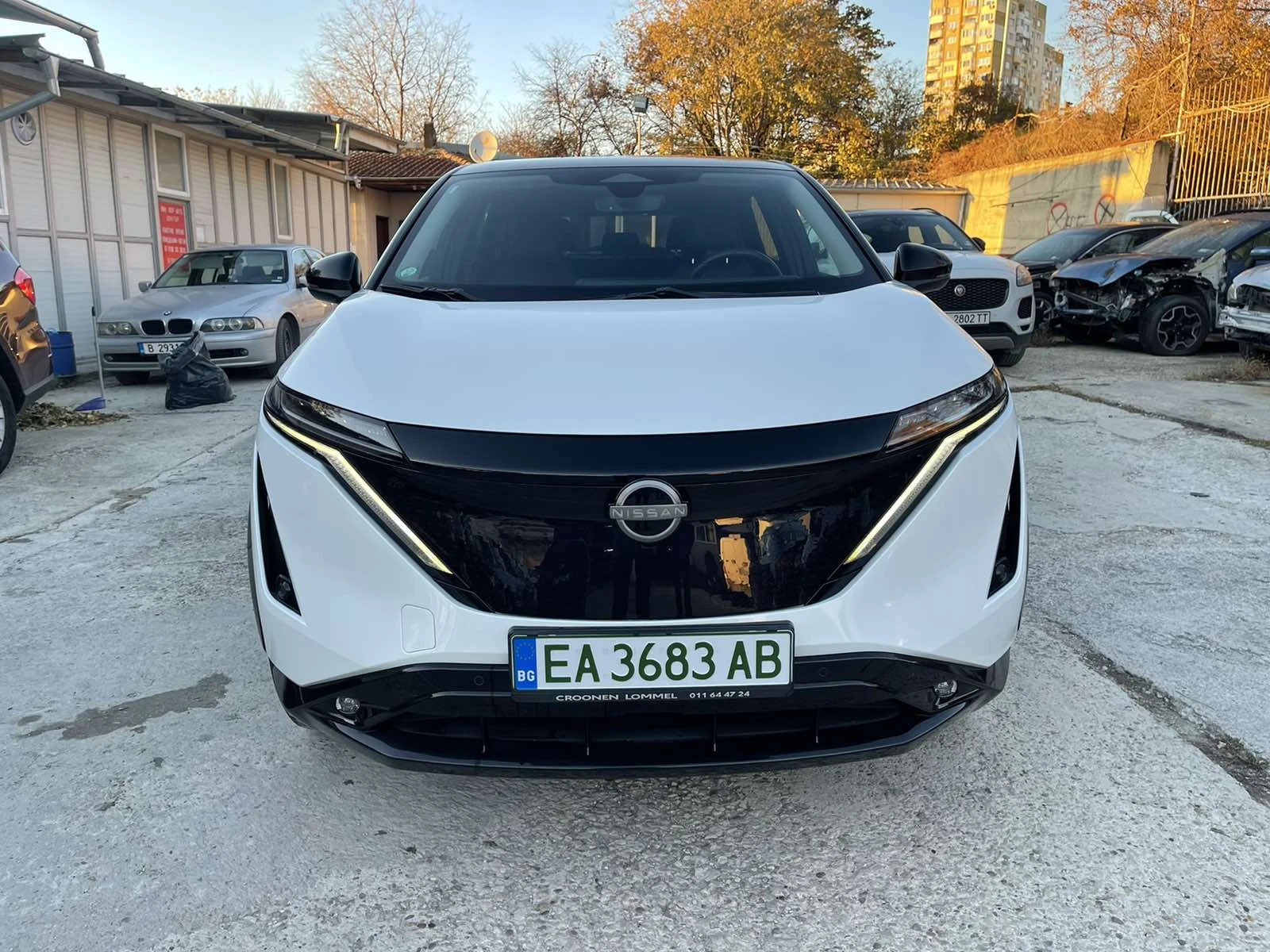 Nissan Ariya 65kW - изображение 2