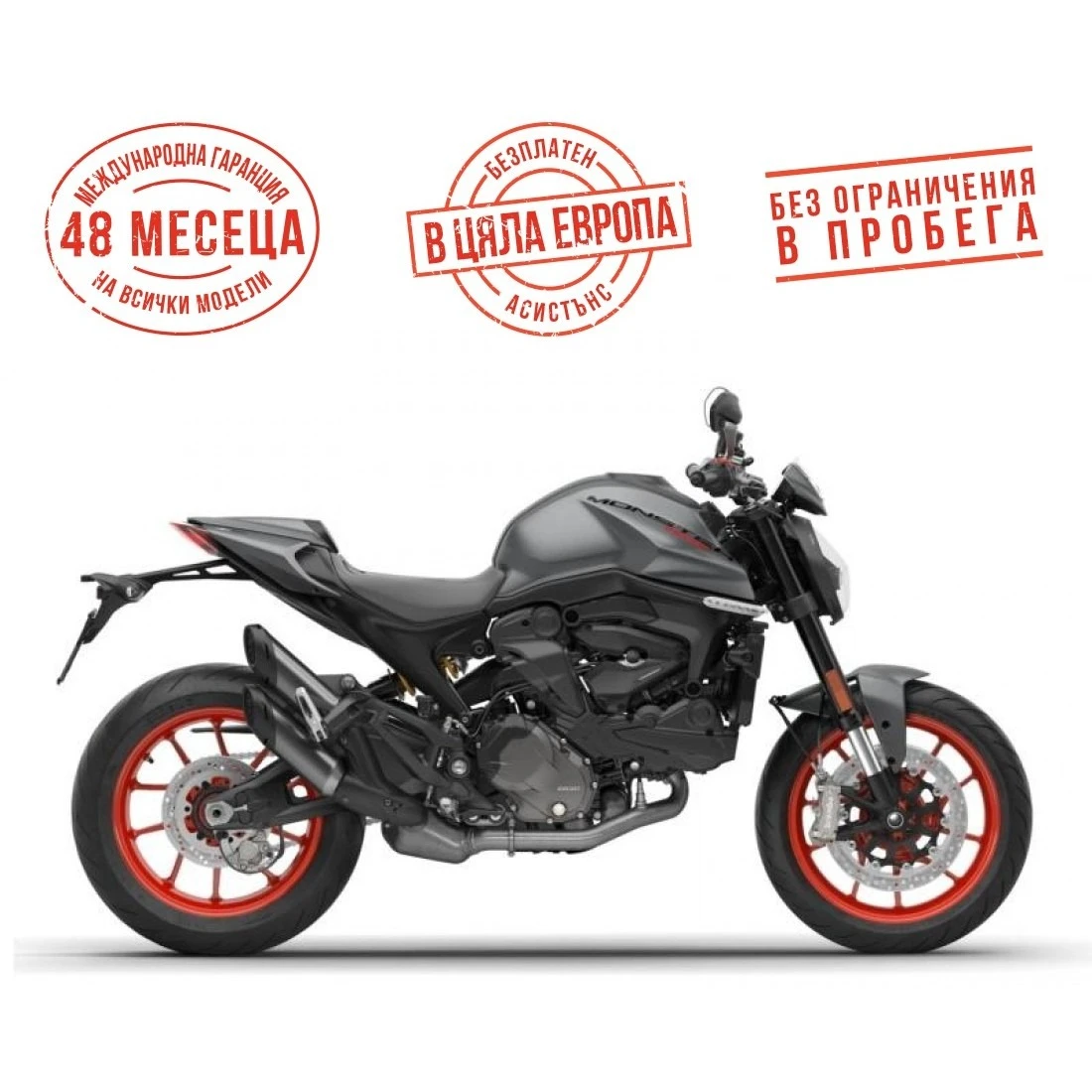Ducati Monster + AVIATOR GREY, снимка 1