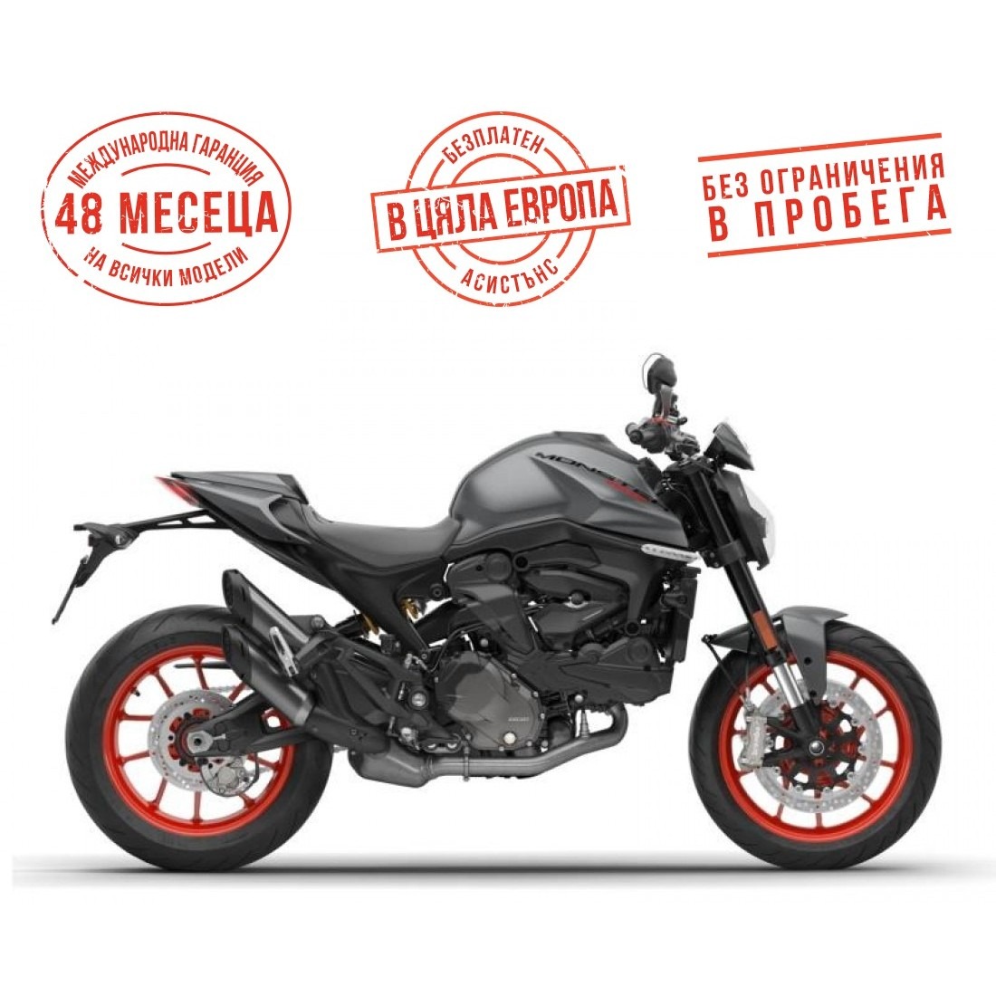 Ducati Monster +AVIATOR GREY - изображение 1