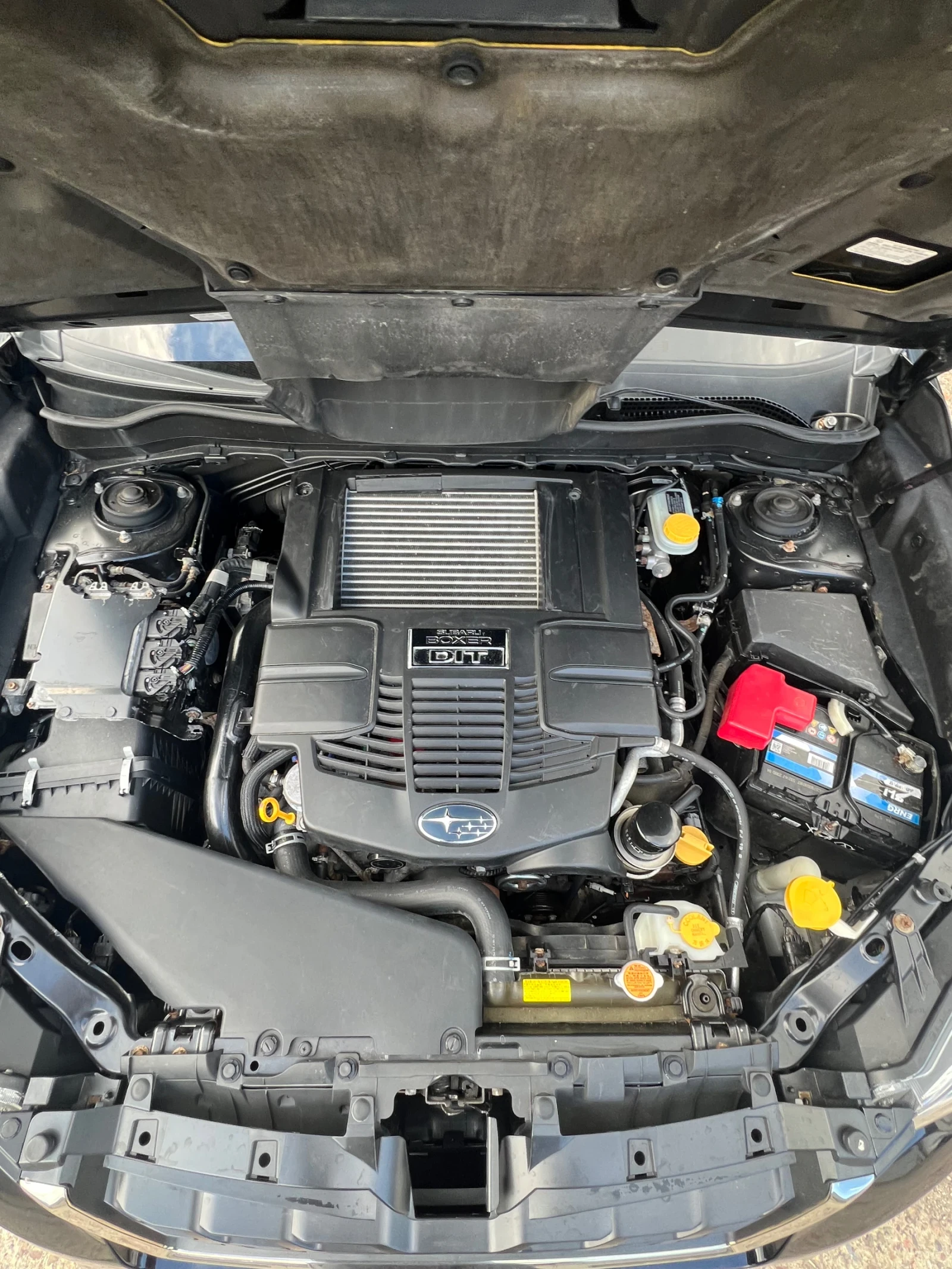 Subaru Forester XT - 250 к.с., снимка 15 - Автомобили и джипове - 54440895