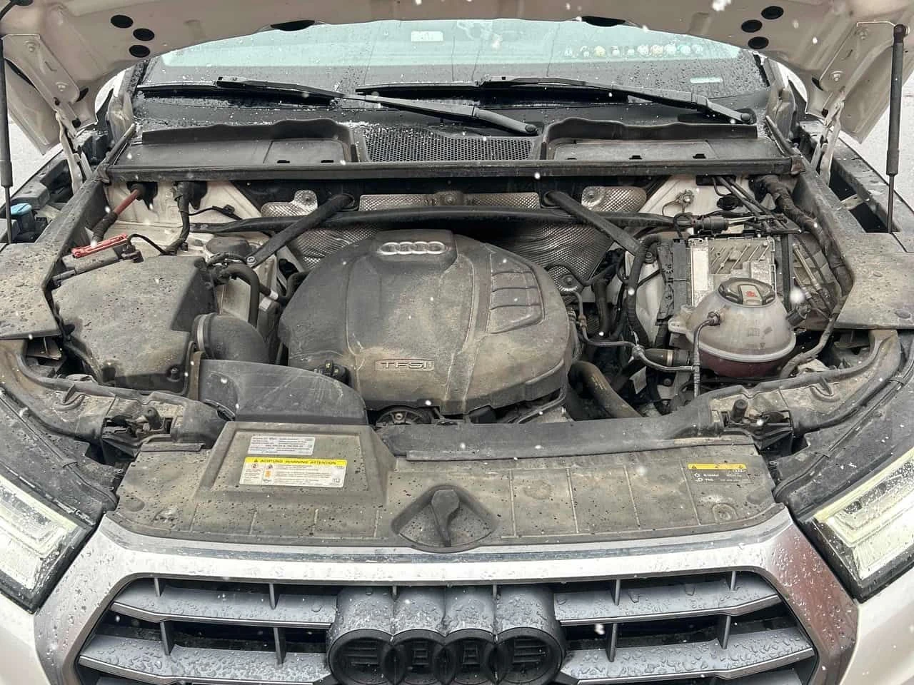 Audi Q5 * Progressiv * CARFAX * PANO * ПОДГРЕВИ * KEYLESS, снимка 17 - Автомобили и джипове - 53954719