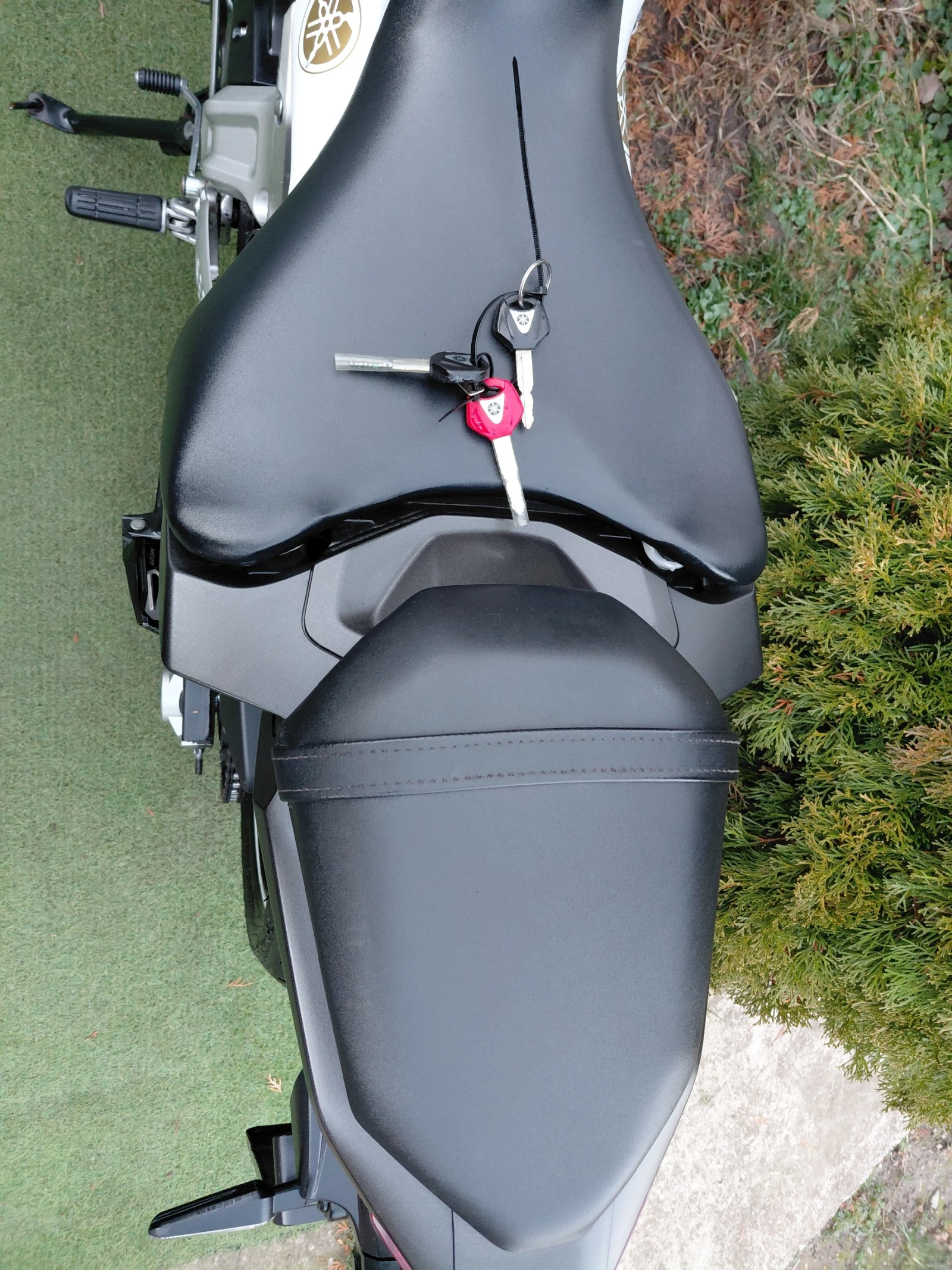 Yamaha Mt-07 34kw/A2 | Mobile.bg � ����������� 16