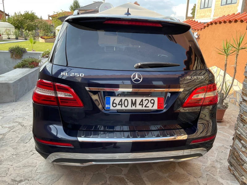 Mercedes-Benz ML 250 250 Blue Tec, снимка 3 - Автомобили и джипове - 49184572