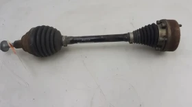 ������ ������ ���� ��������