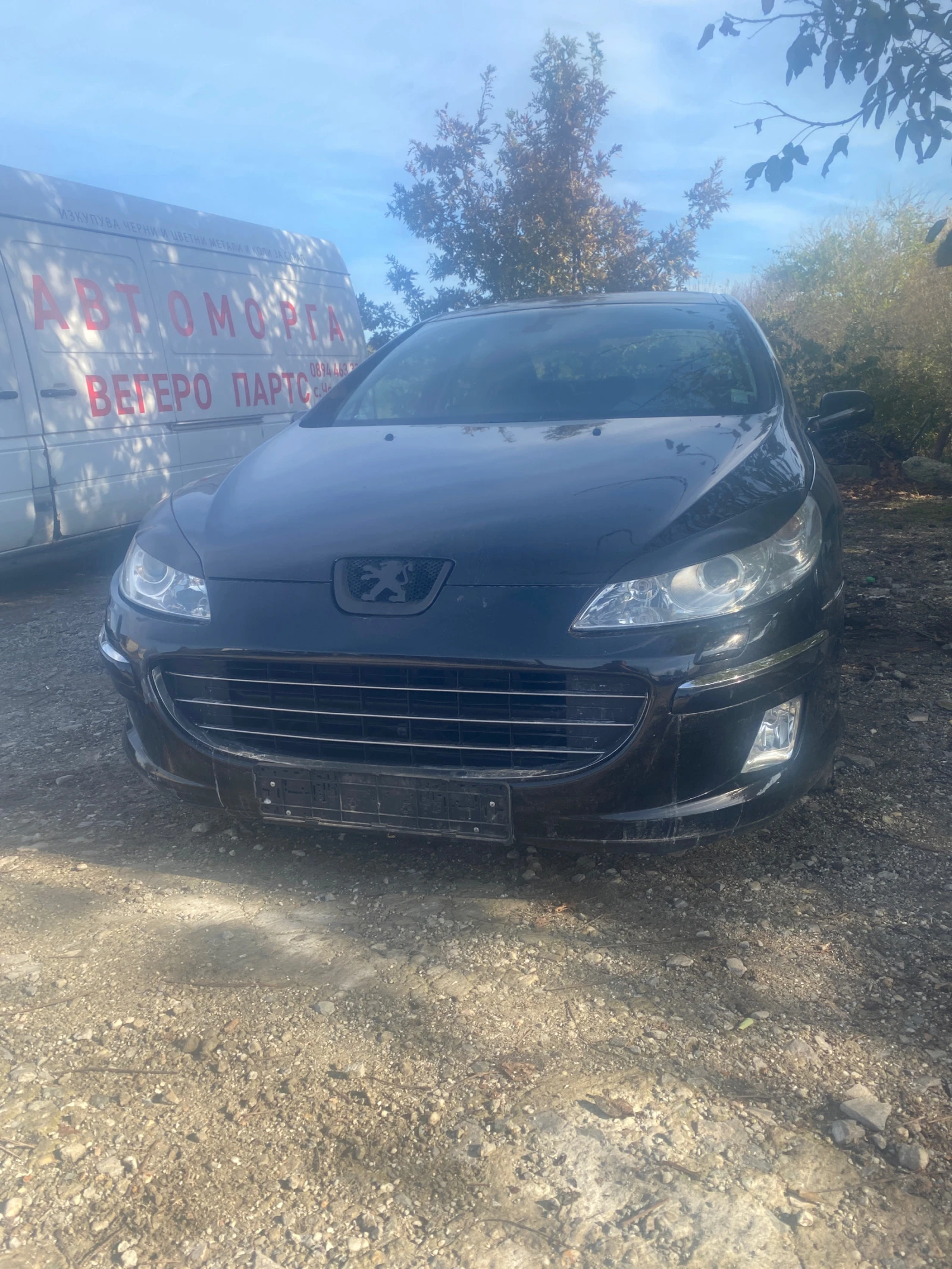 Peugeot 407 2.7hdi - [1] 