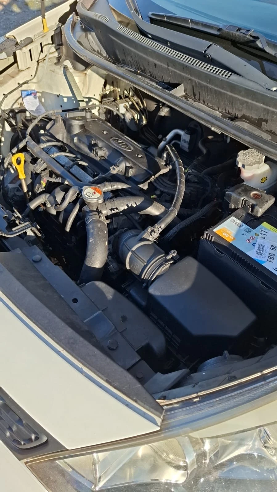 Kia Rio  - изображение 4