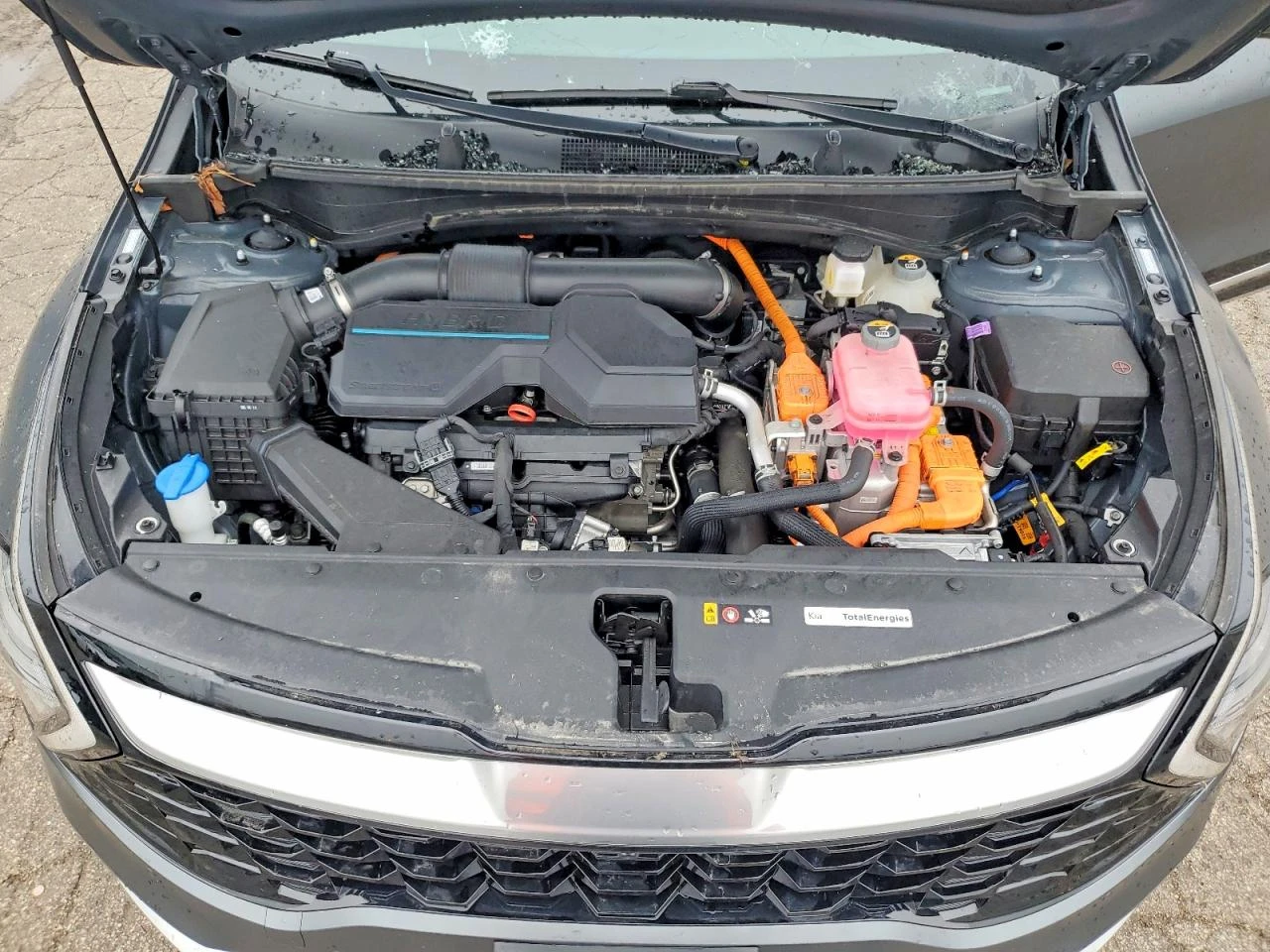 Kia Sportage 1.6l Hybrid Sx-Prestige, снимка 12 - Автомобили и джипове - 54557958