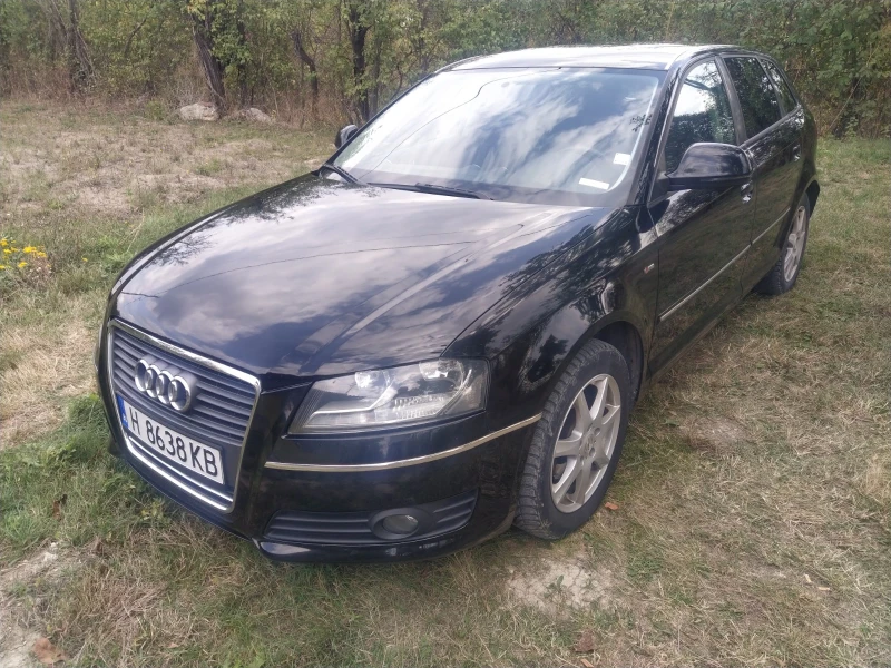 Audi A3 1.6  ГАЗ/БЕНЗИН FACELIFT, снимка 1 - Автомобили и джипове - 47332150