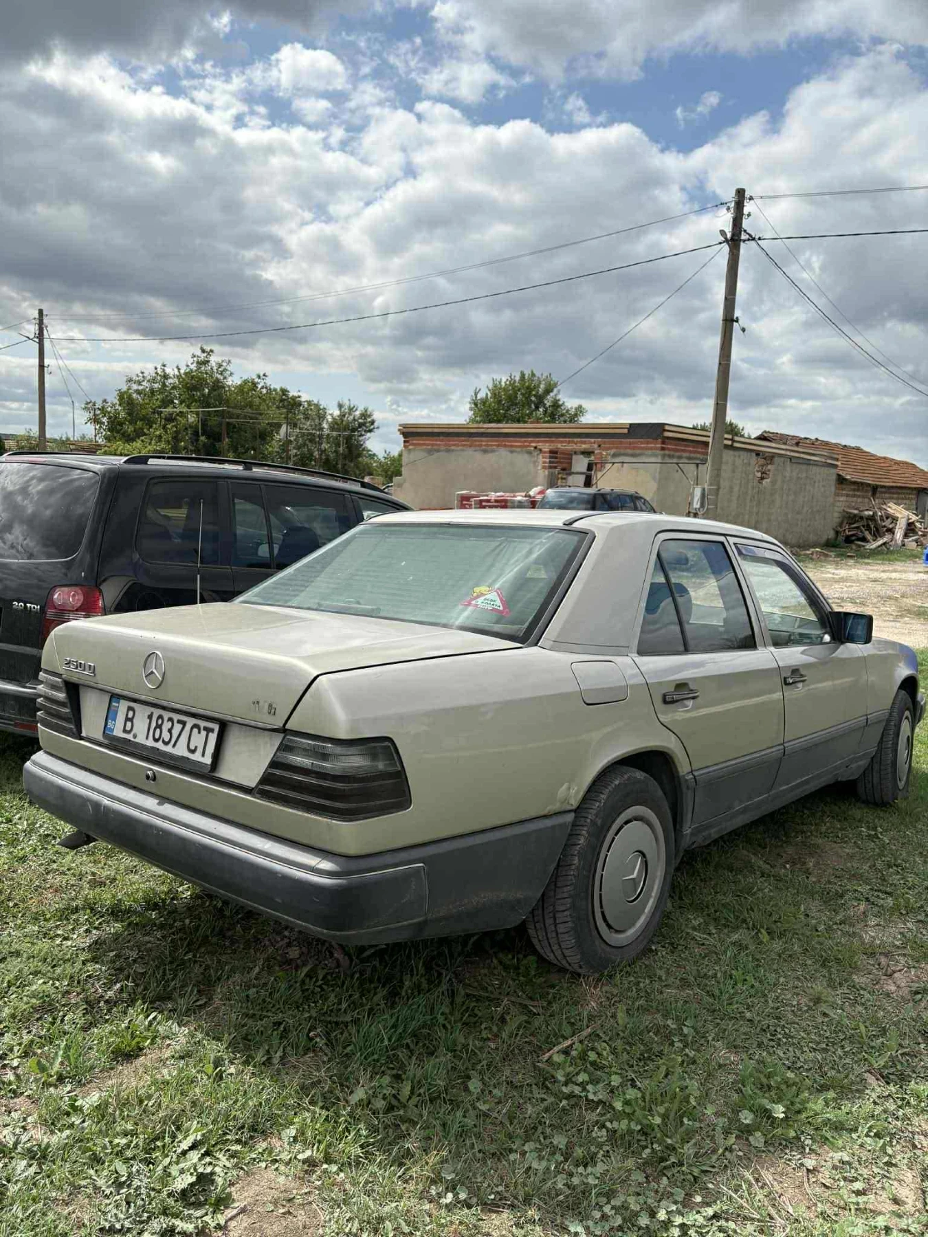 Mercedes-Benz 124 250D - изображение 10