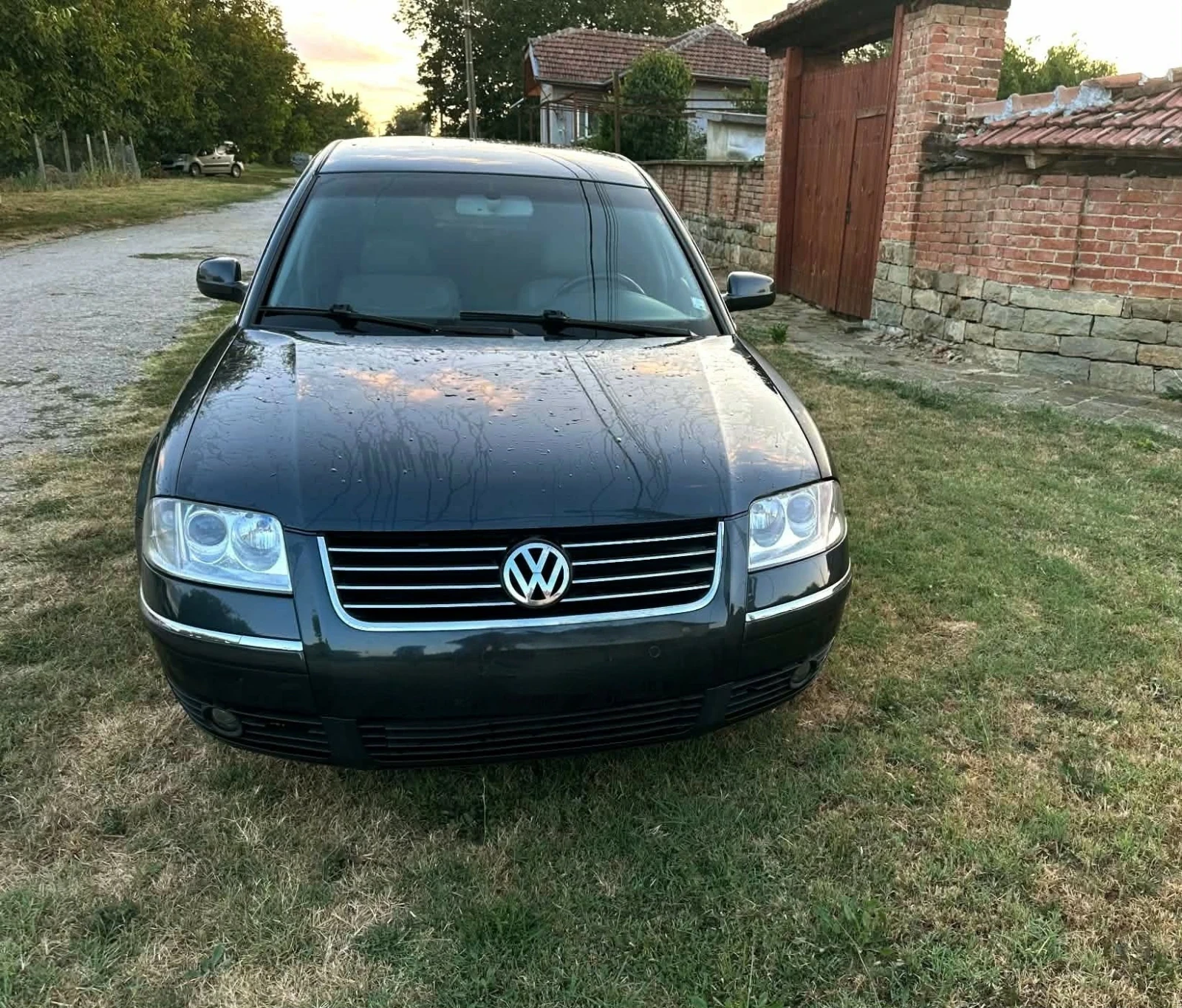 VW Passat
