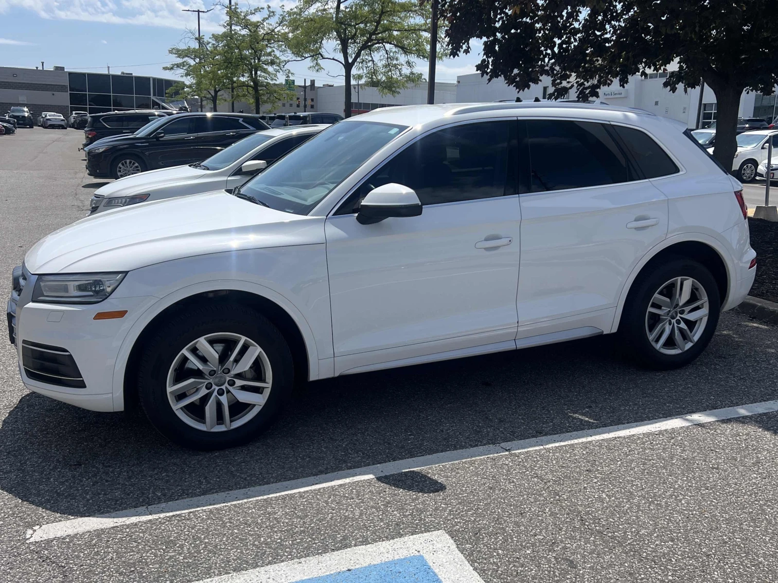 Audi Q5, снимка 2 - Автомобили и джипове - 55689430