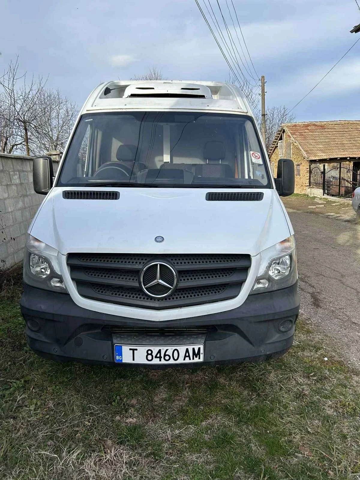 Mercedes-Benz 313 Хладилен