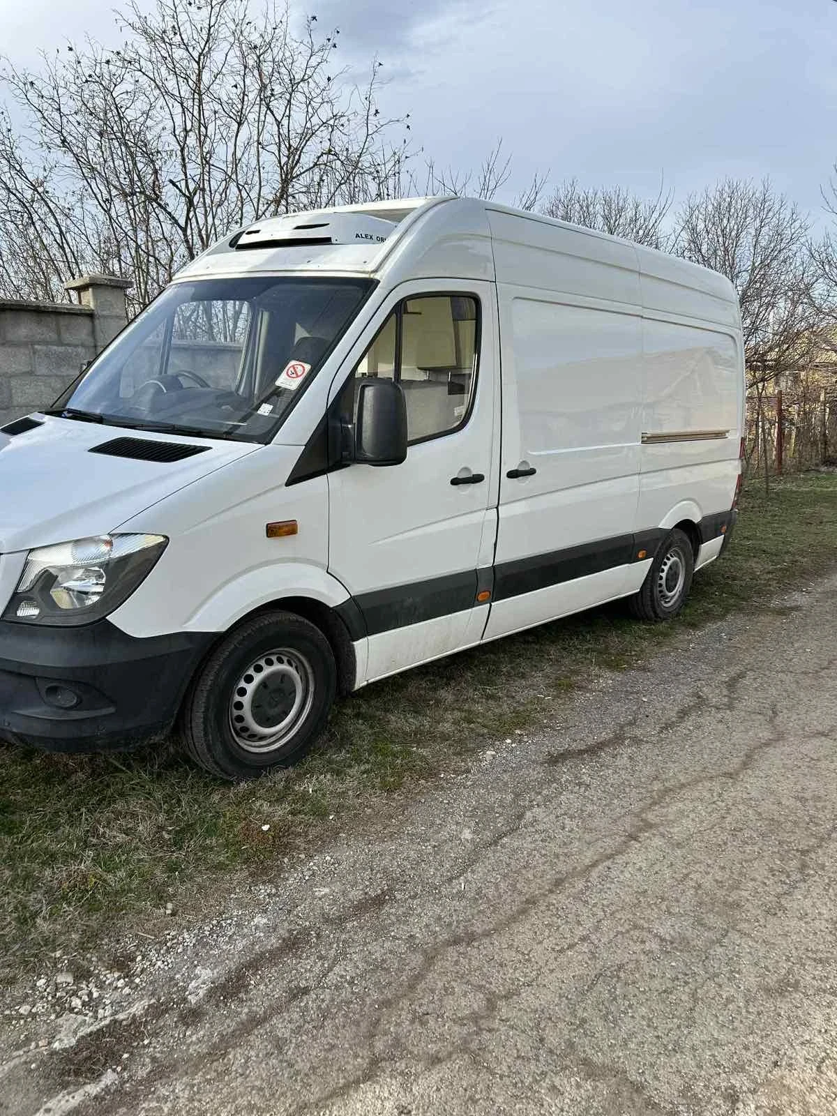 Mercedes-Benz 313 Хладилен, снимка 2 - Бусове и автобуси - 53874566