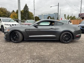Ford Mustang * 2dr Fastback Shelby * CARFAX *    | Mobile.bg    2