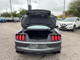 Ford Mustang * 2dr Fastback Shelby * CARFAX *    | Mobile.bg    10