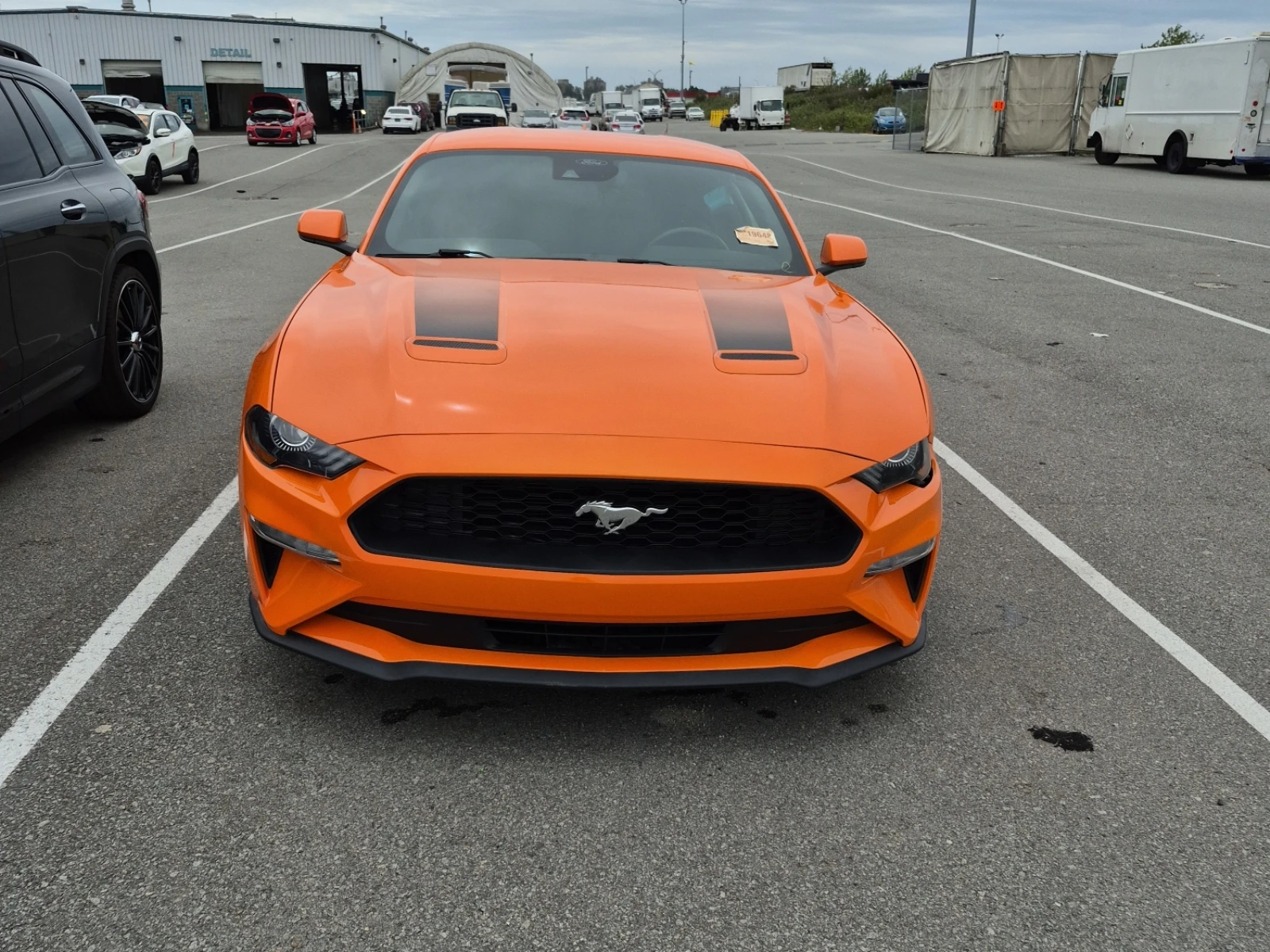 Ford Mustang ECOBOOST, снимка 3 - Автомобили и джипове - 54975374
