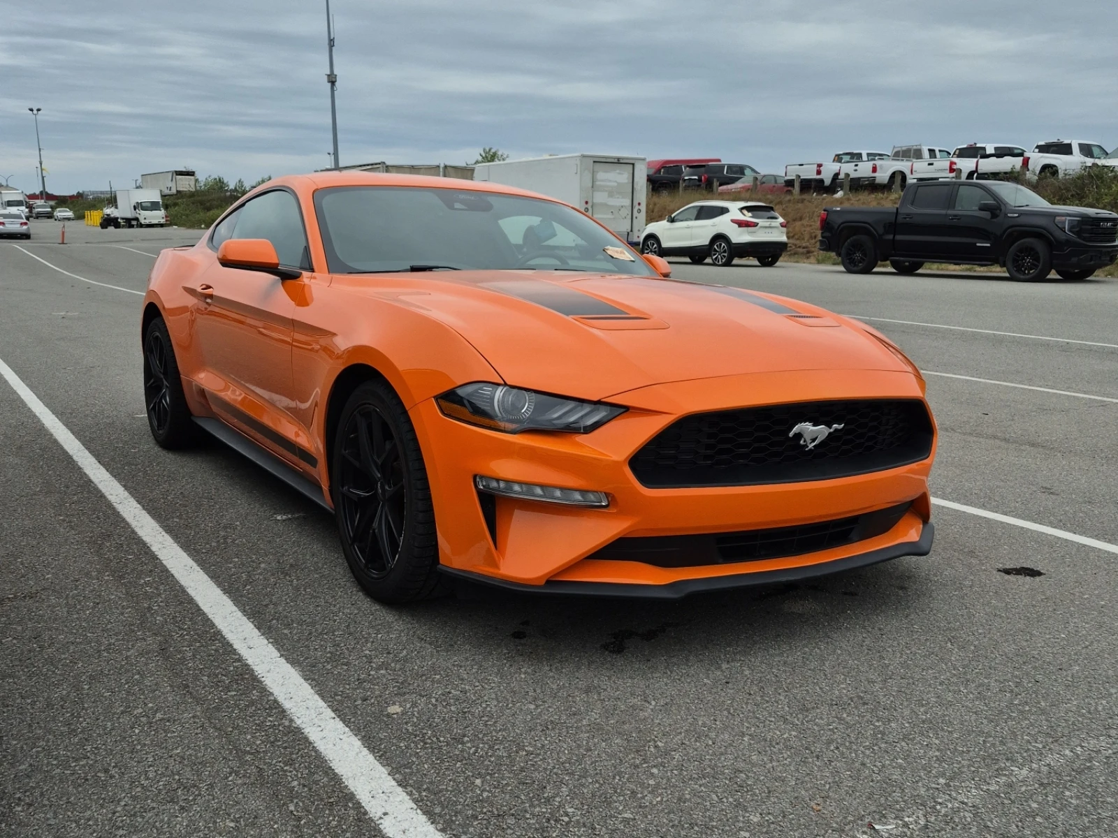 Ford Mustang ECOBOOST