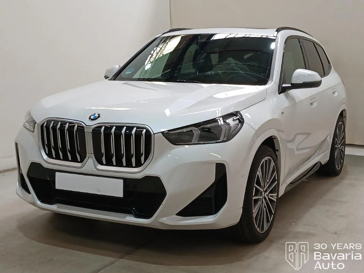 BMW X1 23d xDrive M Sport Paket