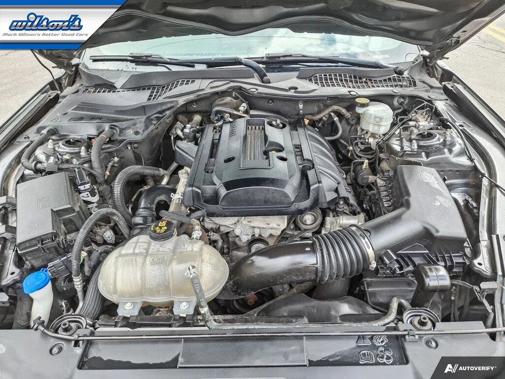 Ford Mustang * EcoBoost* Premium* Coupe*  (   | Mobile.bg   16