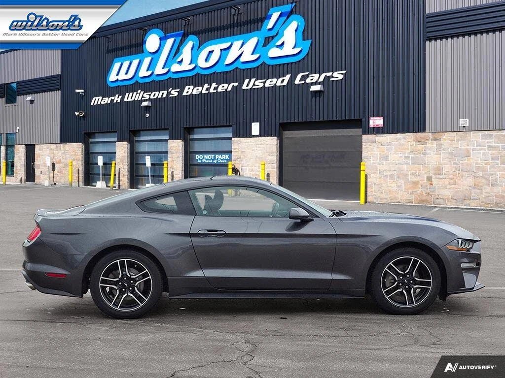 Ford Mustang * EcoBoost* Premium* Coupe*  (   | Mobile.bg   6