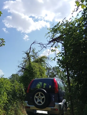 Daihatsu Terios | Mobile.bg    3