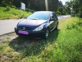  Peugeot 307