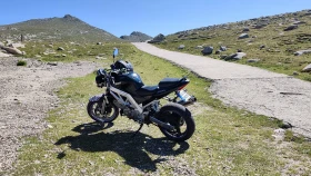 Suzuki SV, снимка 2