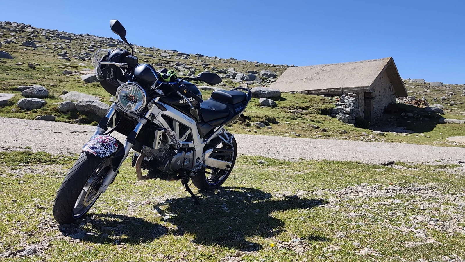 Suzuki SV