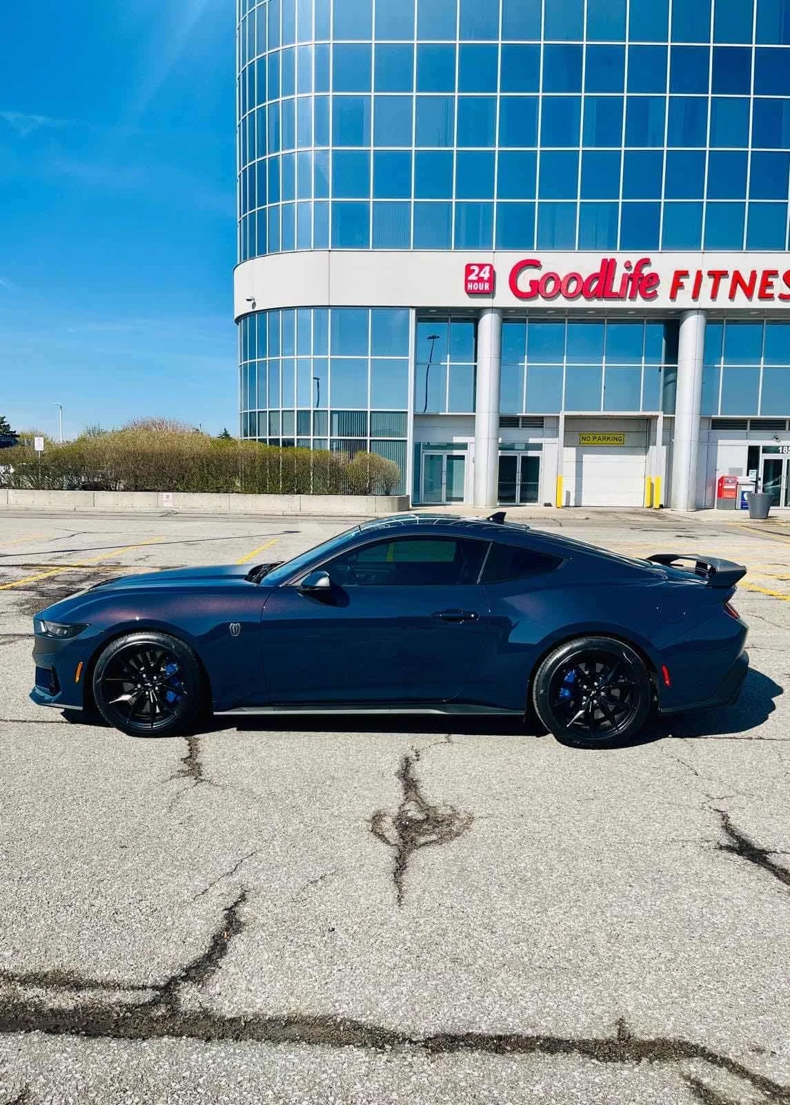Ford Mustang * Dark Horse * CARFAX *  | Mobile.bg � ����������� 2
