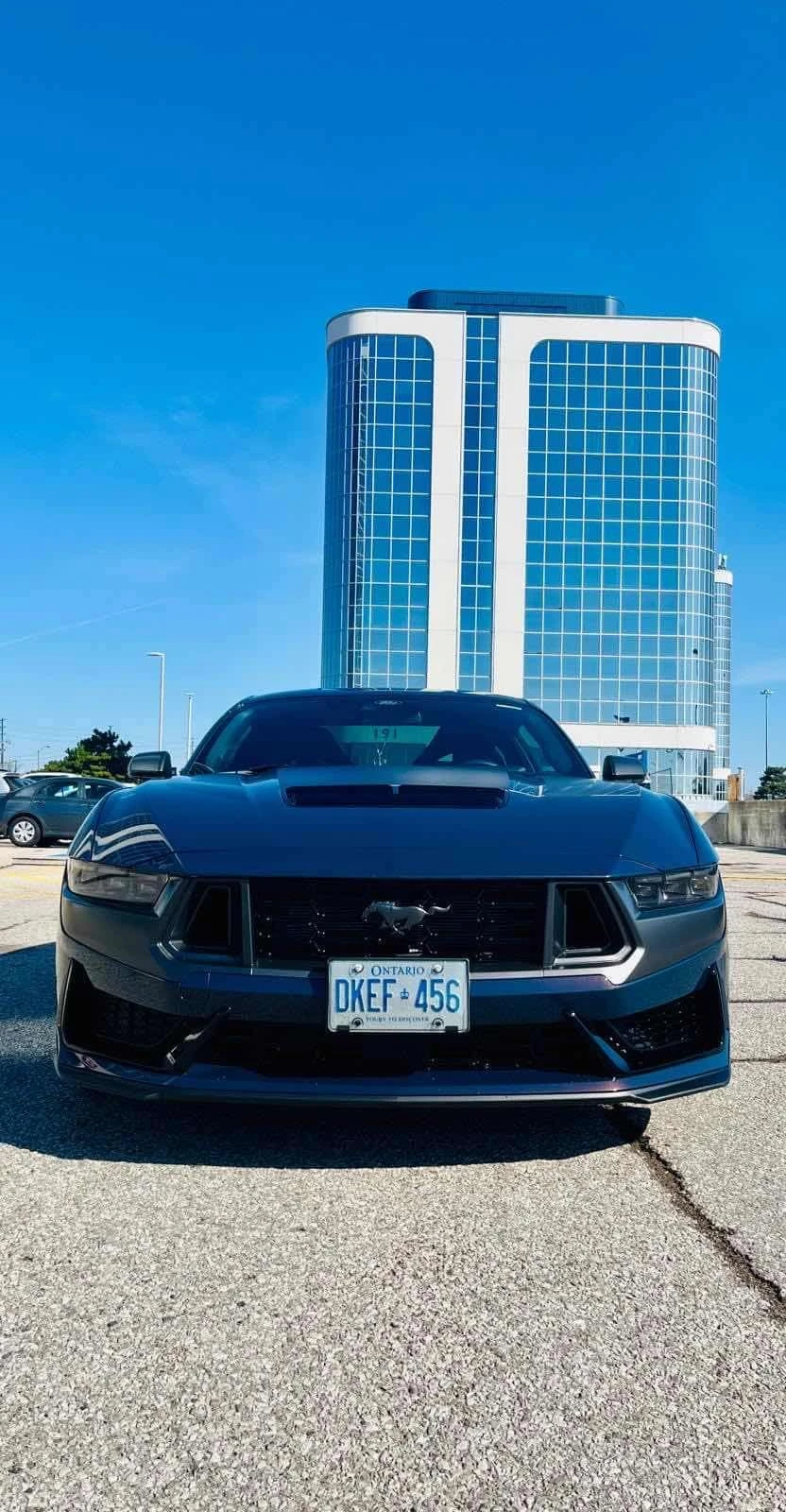 Ford Mustang * Dark Horse * CARFAX *  | Mobile.bg � ����������� 5