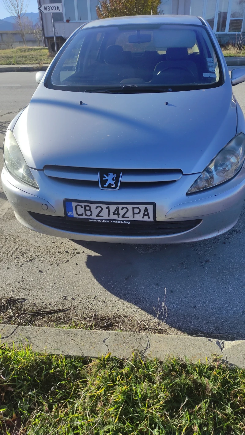 Peugeot 307, снимка 3 - Автомобили и джипове - 48414938