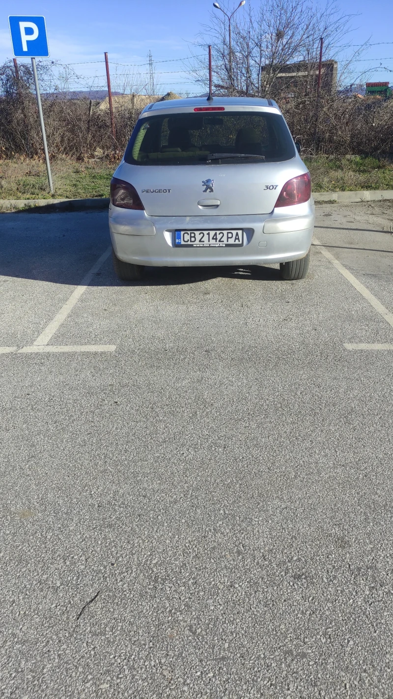 Peugeot 307, снимка 1 - Автомобили и джипове - 48414938