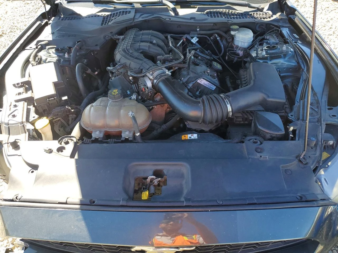 Ford Mustang * BUY NOW* ����.����*  | Mobile.bg � ����������� 11