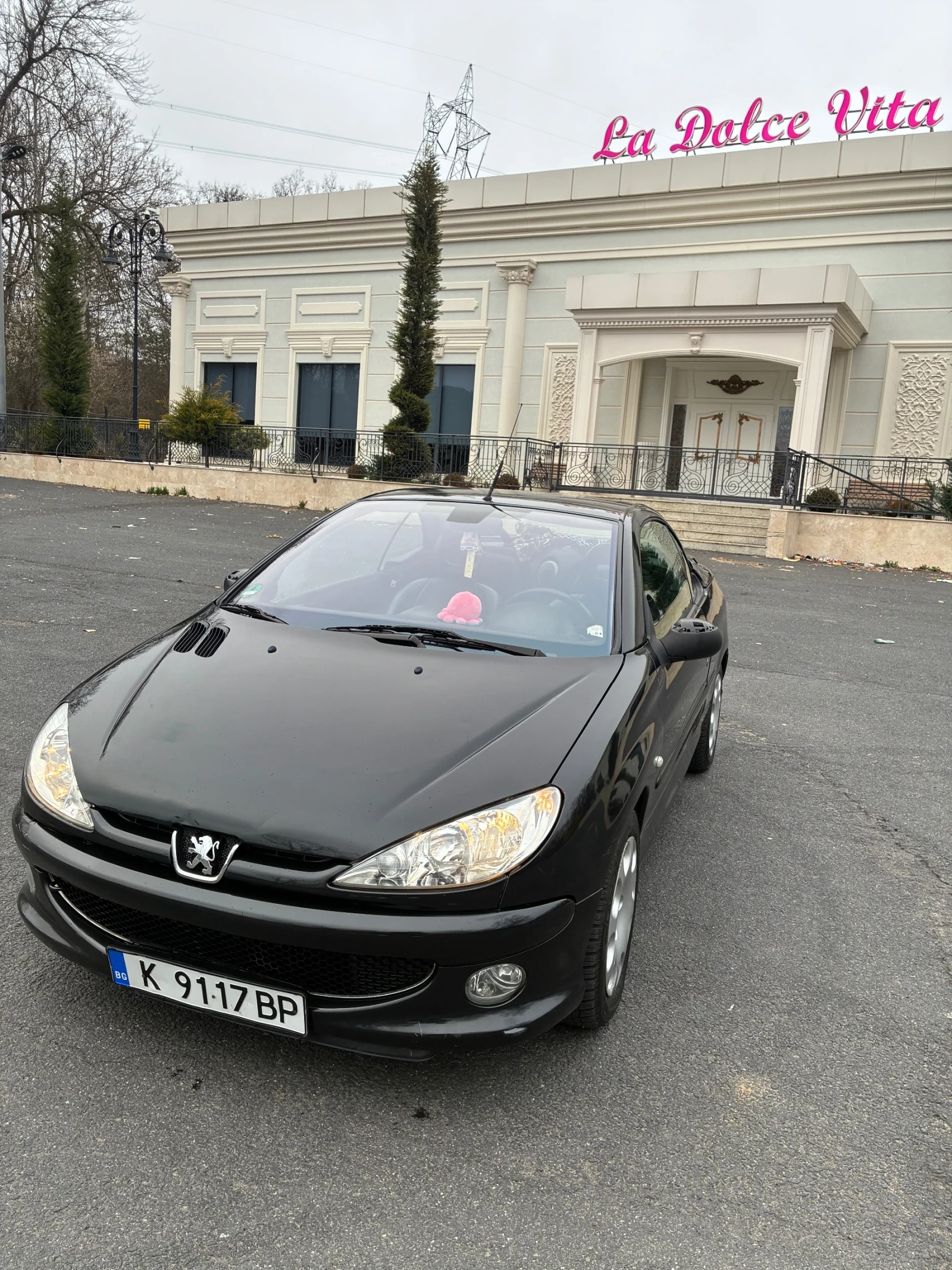 Peugeot 206, снимка 3 - Автомобили и джипове - 54019823