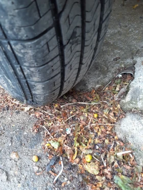 За автомобил Други, снимка 5 - Ремаркета - 53279662