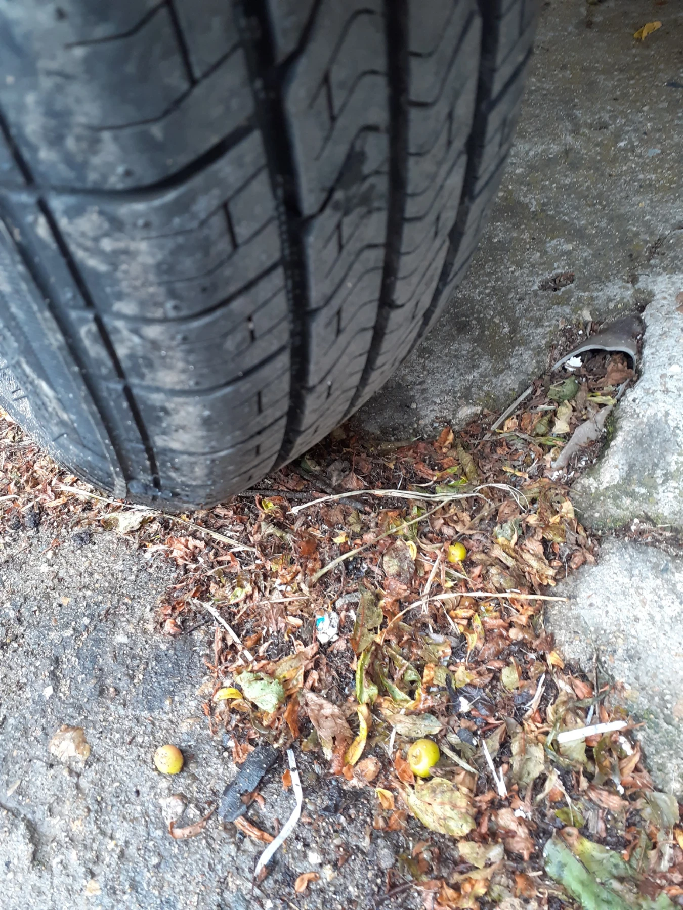 �� ��������� | Mobile.bg � ����������� 5