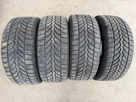 Гуми Зимни 225/50R17