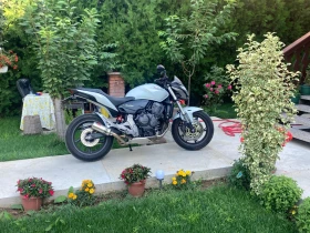 Honda Hornet | Mobile.bg � ����� ������ 14