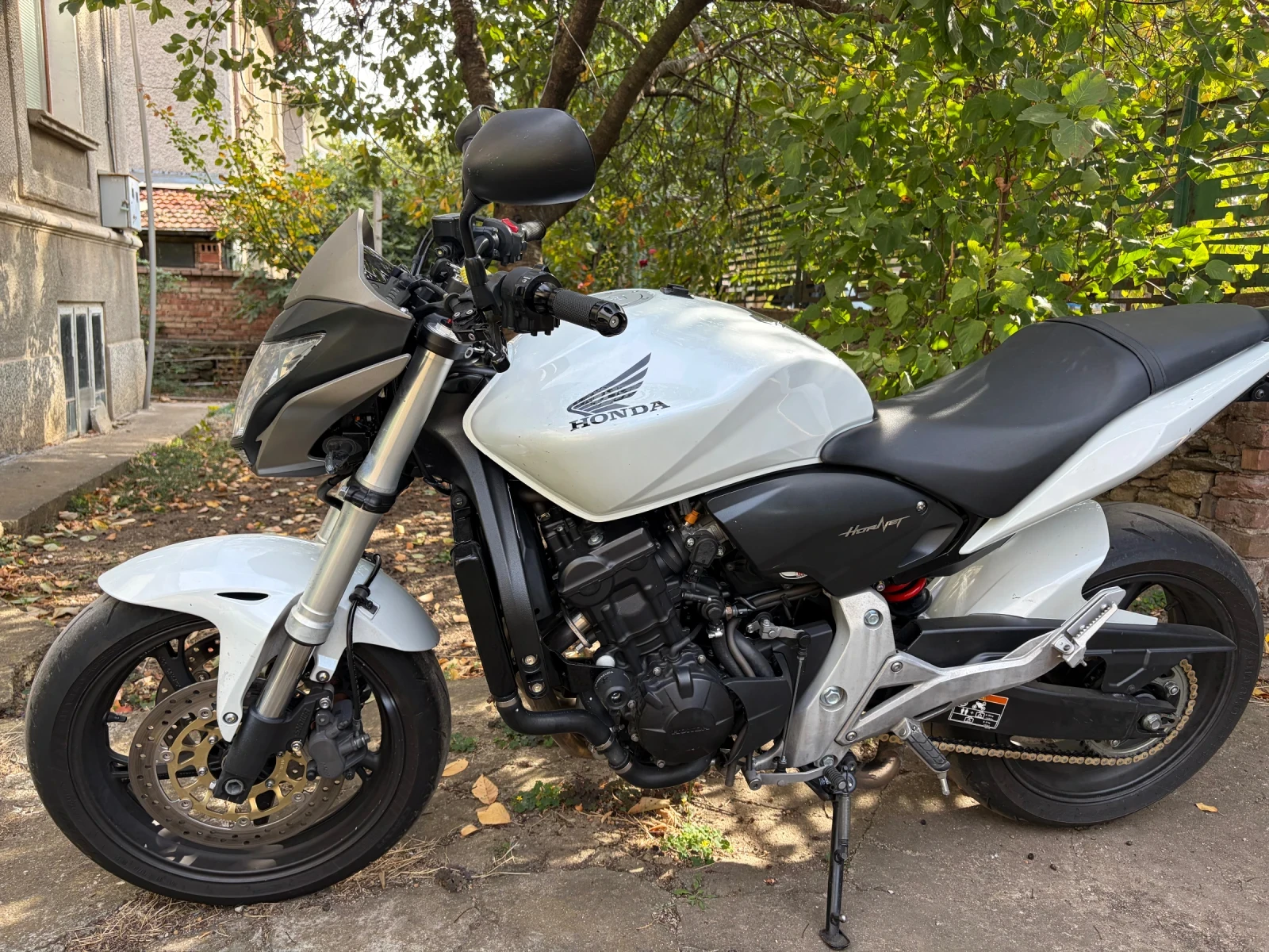 Honda Hornet